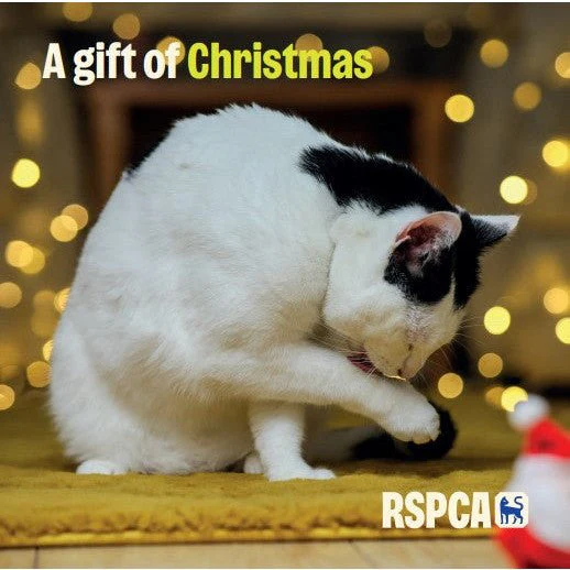 A Gift at Christmas RSPCA Charity Gift Card