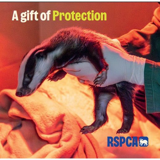A Gift of Protection RSPCA Charity Gift Card