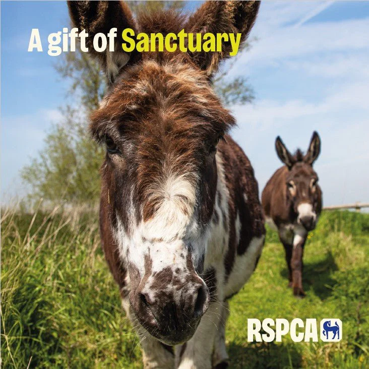 A Gift of Sanctuary RSPCA Charity Gift Card