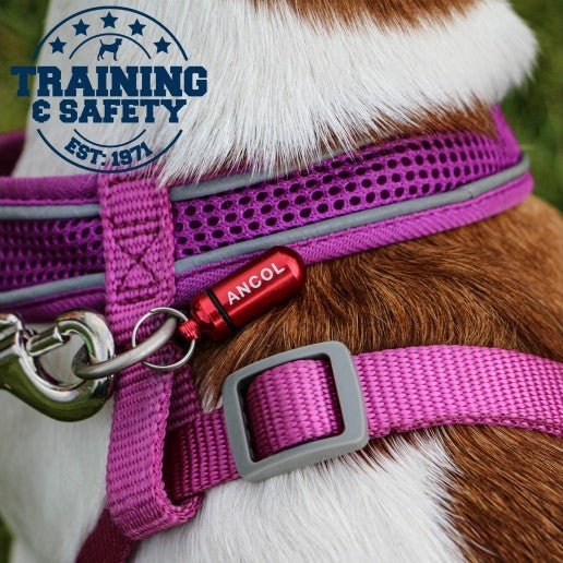 Aluminium ID Tube For Dog Collars - Image 2