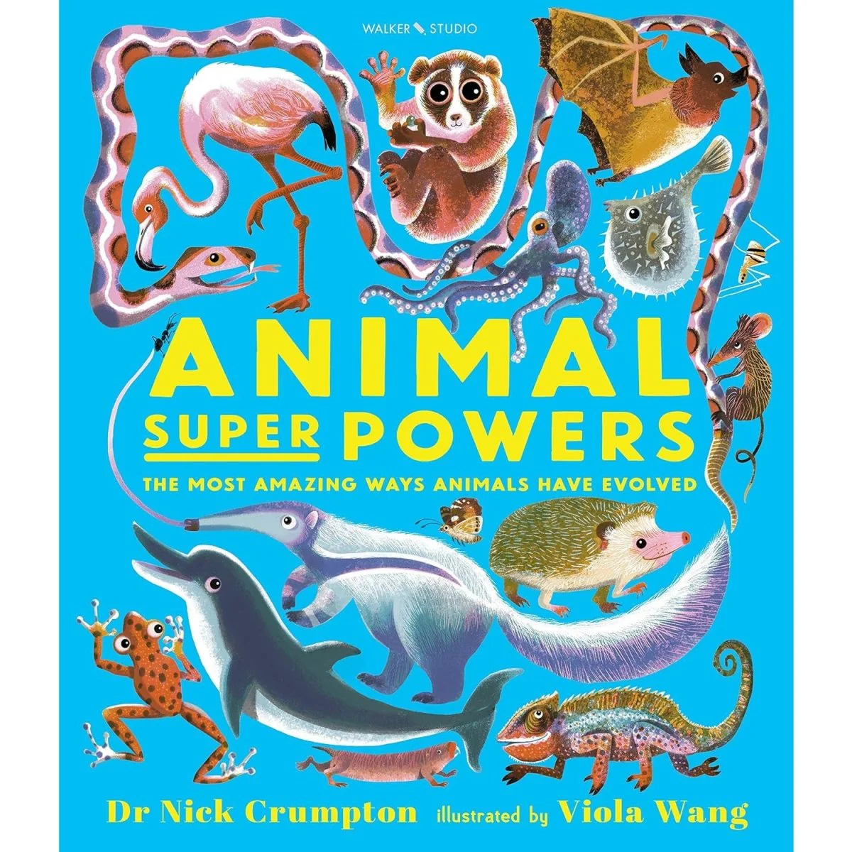 Animal Super Powers: Awesome Animal Evolution