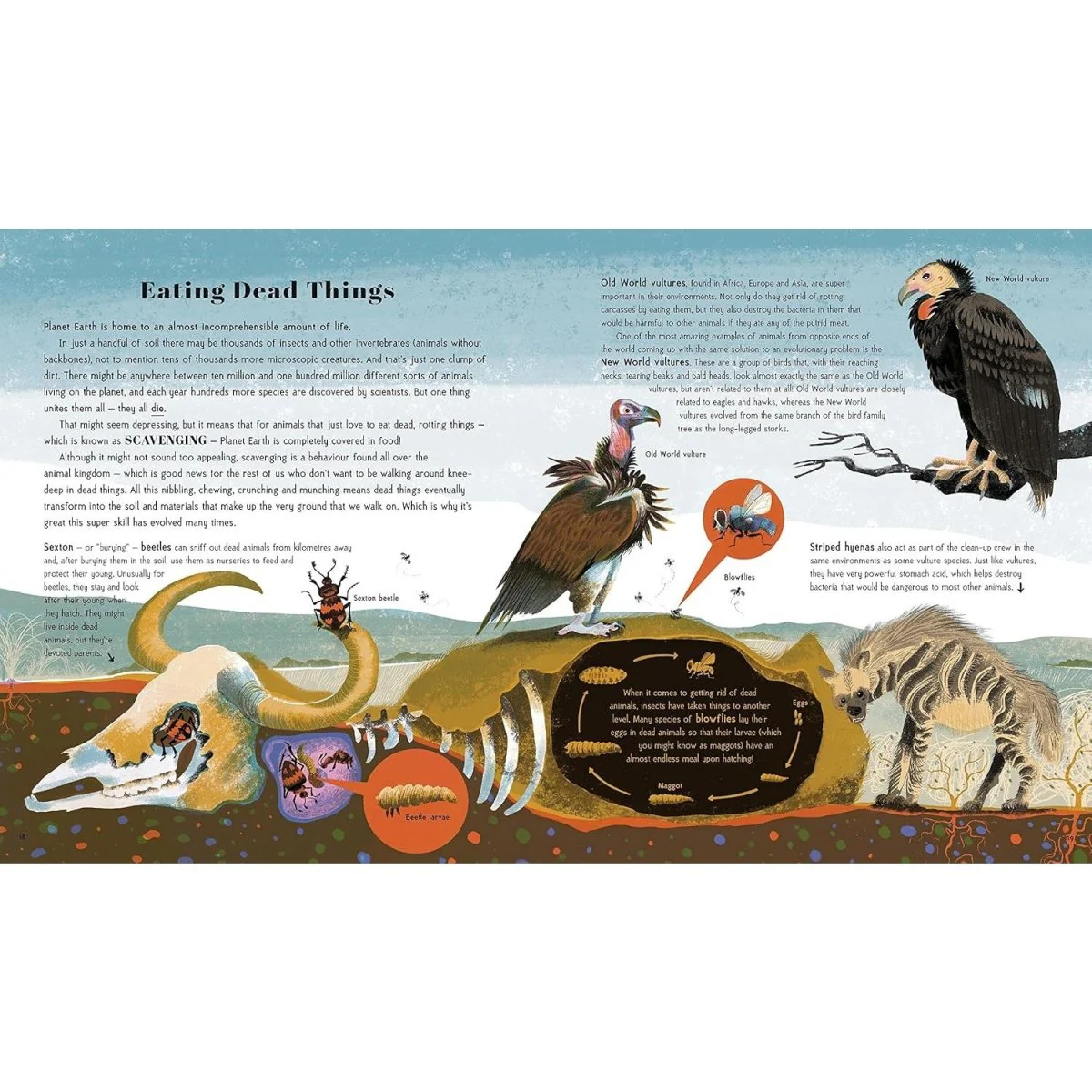 Animal Super Powers: Awesome Animal Evolution - Image 3