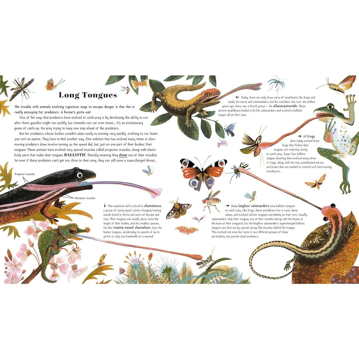 Animal Super Powers: Awesome Animal Evolution - Image 5
