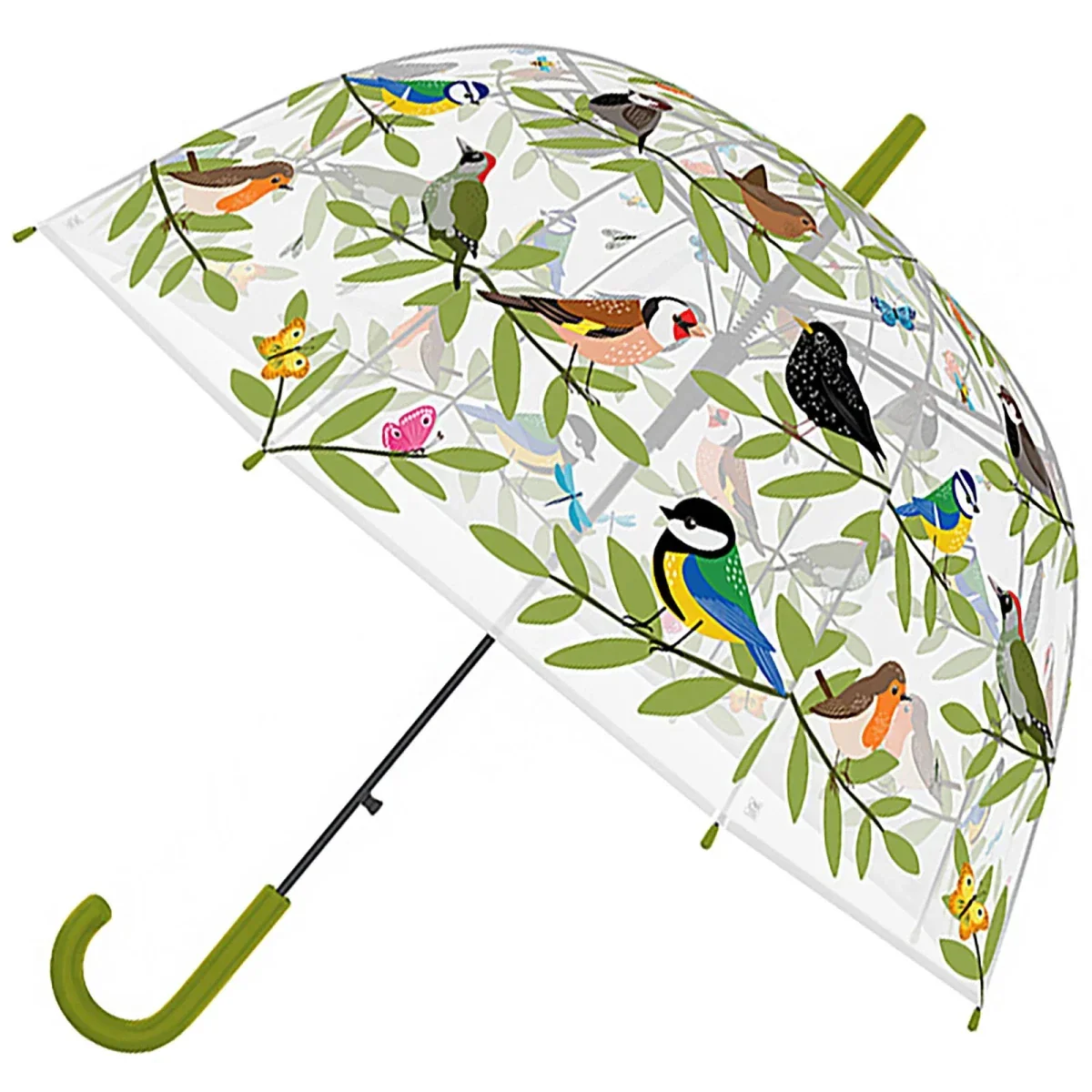 Bird Club Transparent Dome Umbrella - Image 3