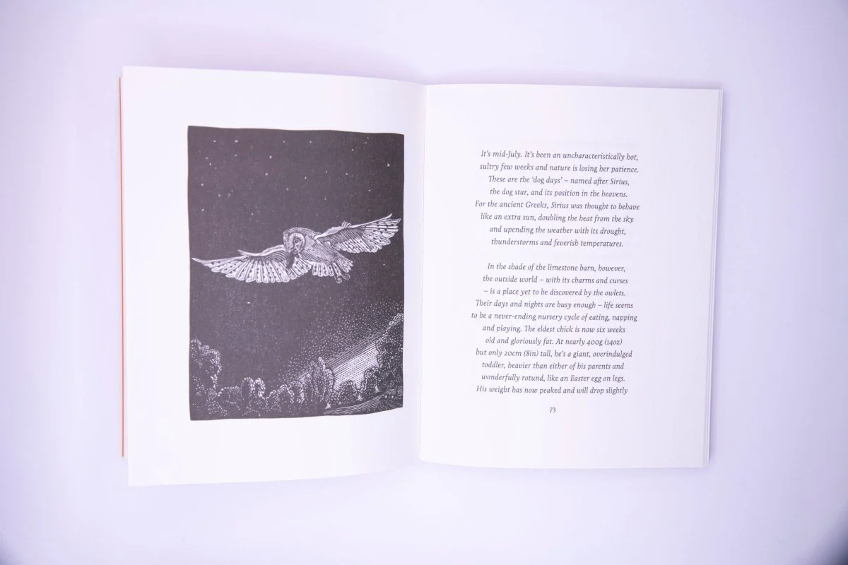 The Book Of The Barn Owl - Image 3
