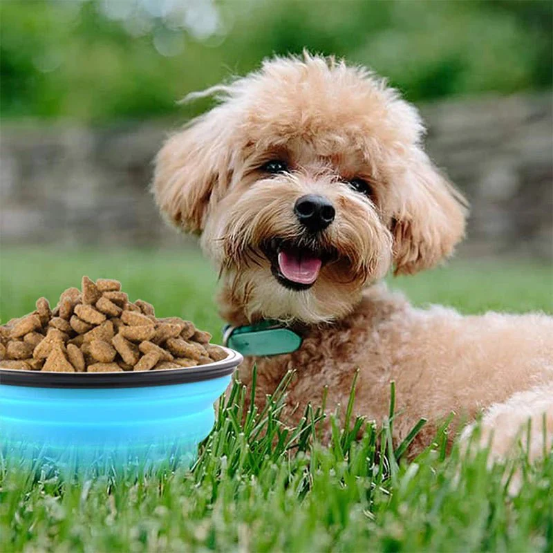 Collapsible Silicone Dog Bowl 350ml - Yellow - Image 4