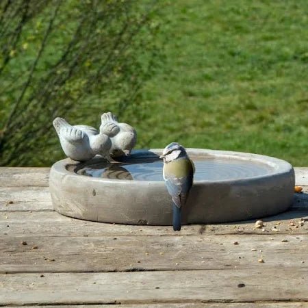 Concrete Bird Bath - Image 3