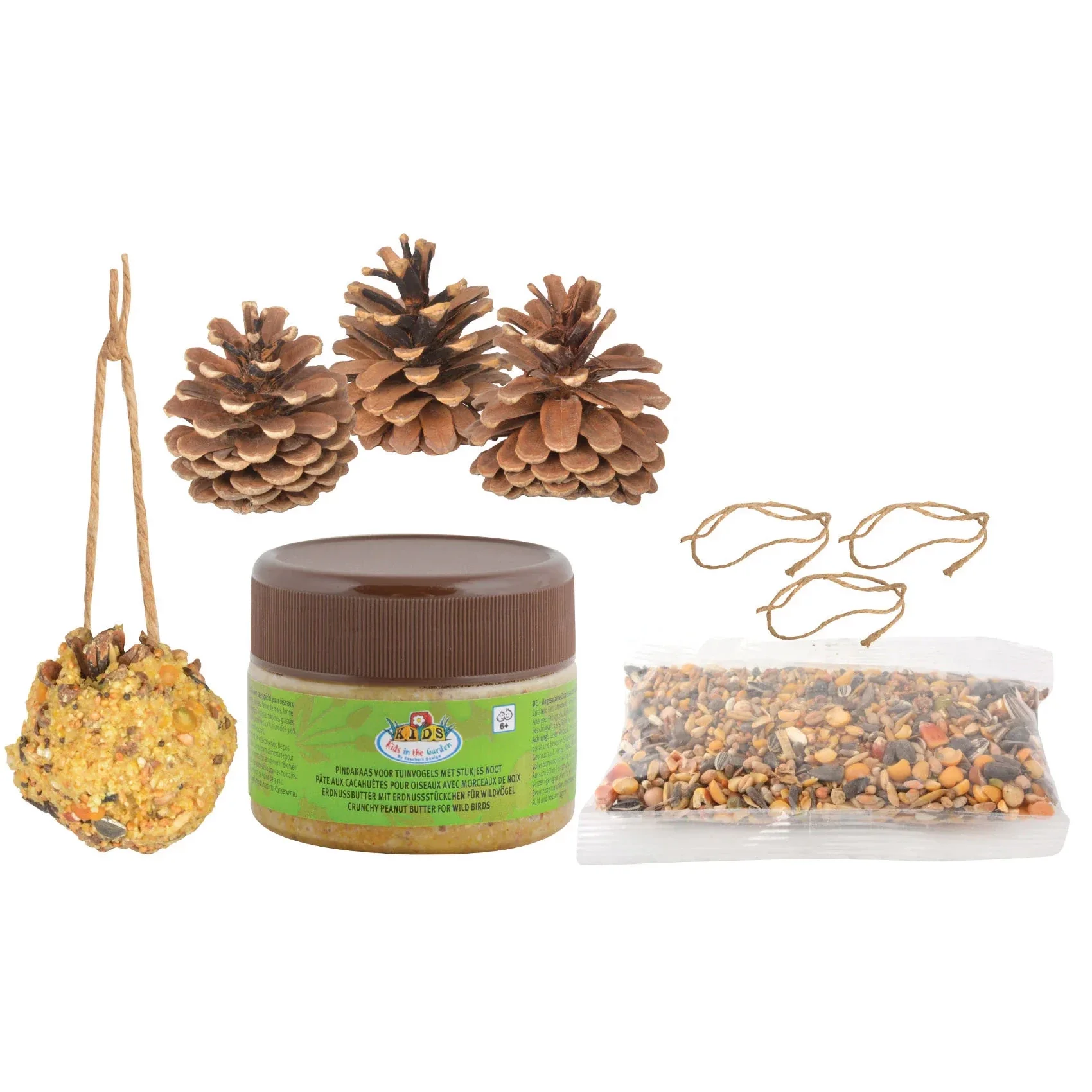 DIY Bird Food Pinecone
