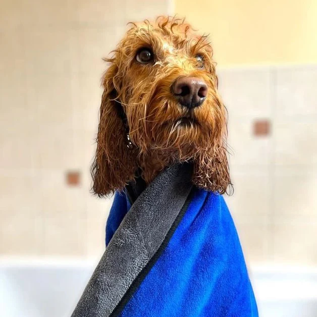 Microfibre Pet Towel, Extra Large - Image 2