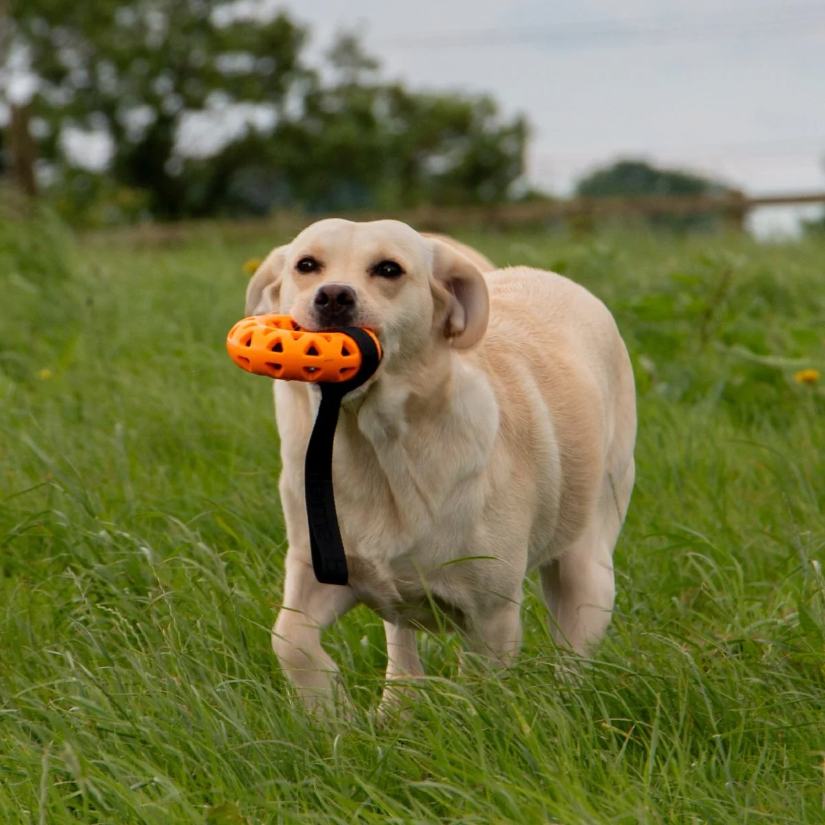 Extreme Floating Donut with Strap - Image 2