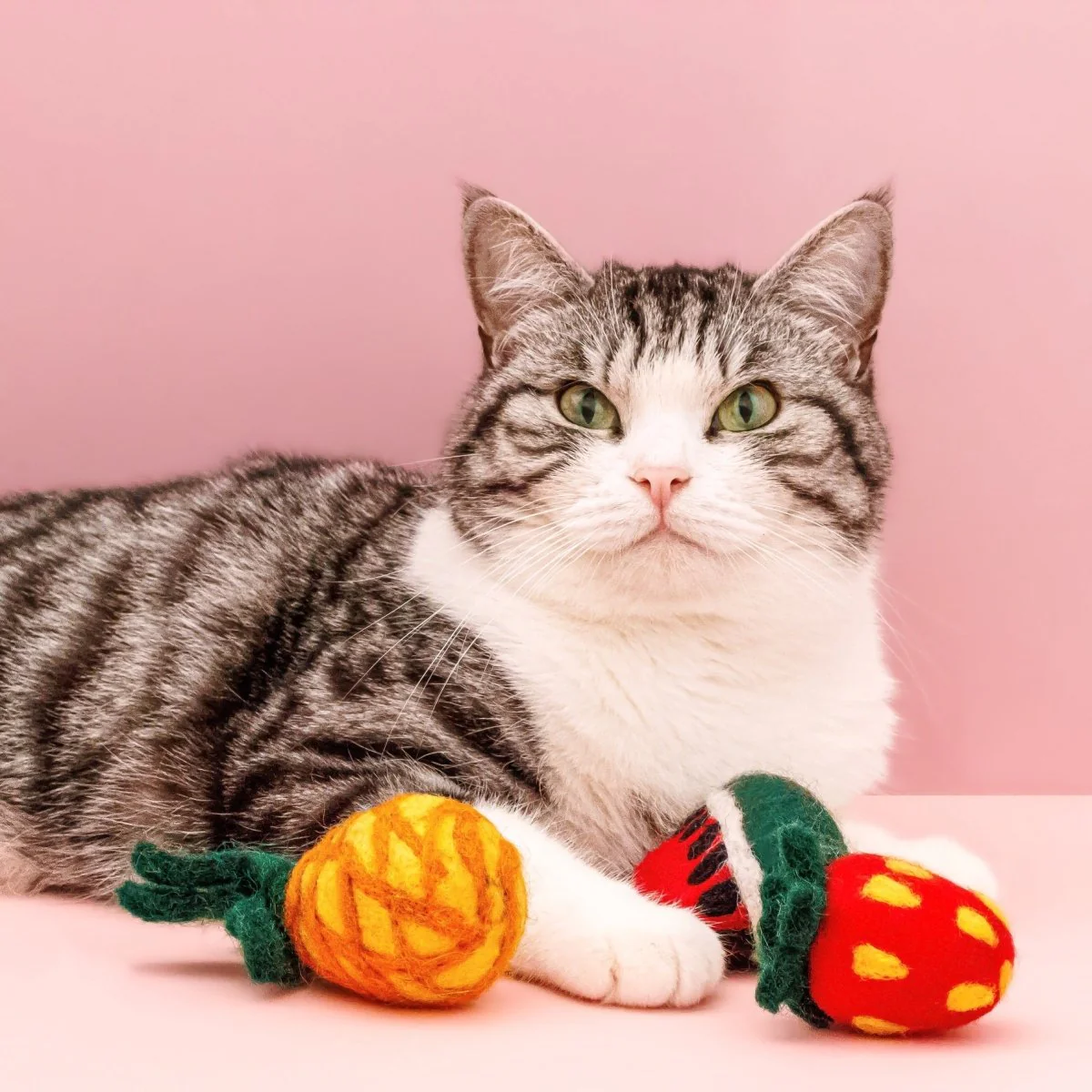 Fruit Basket Felted Cat Toy - Image 2