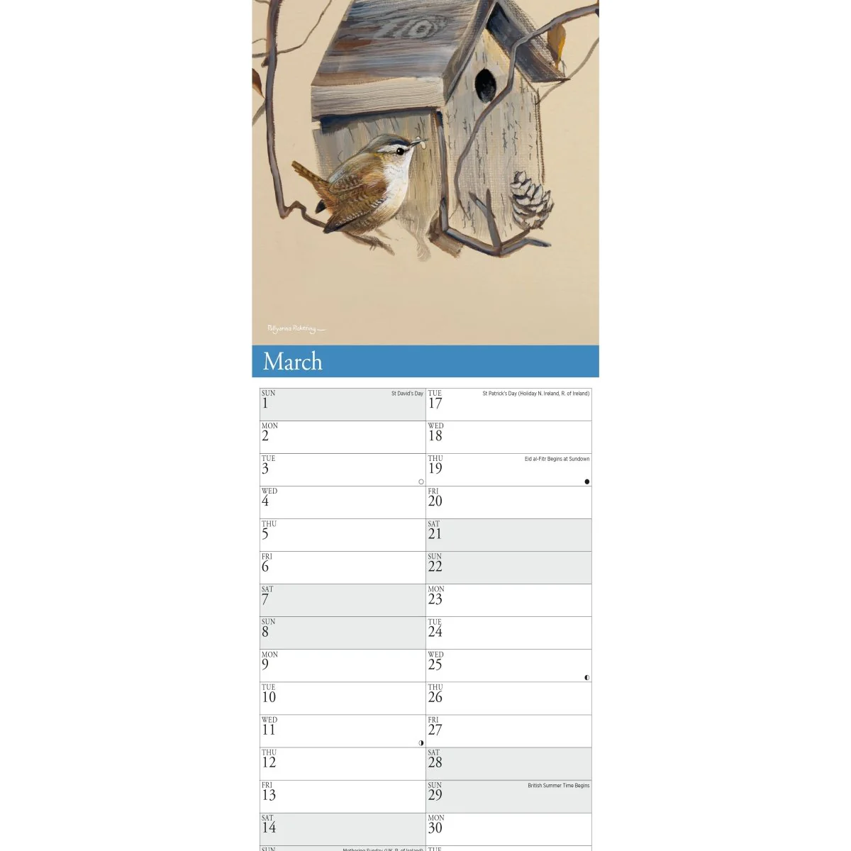 Garden Birds by Pollyanna Pickering Slim Calendar 2026 - Image 4