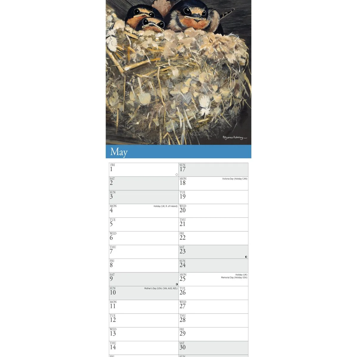 Garden Birds by Pollyanna Pickering Slim Calendar 2026 - Image 5