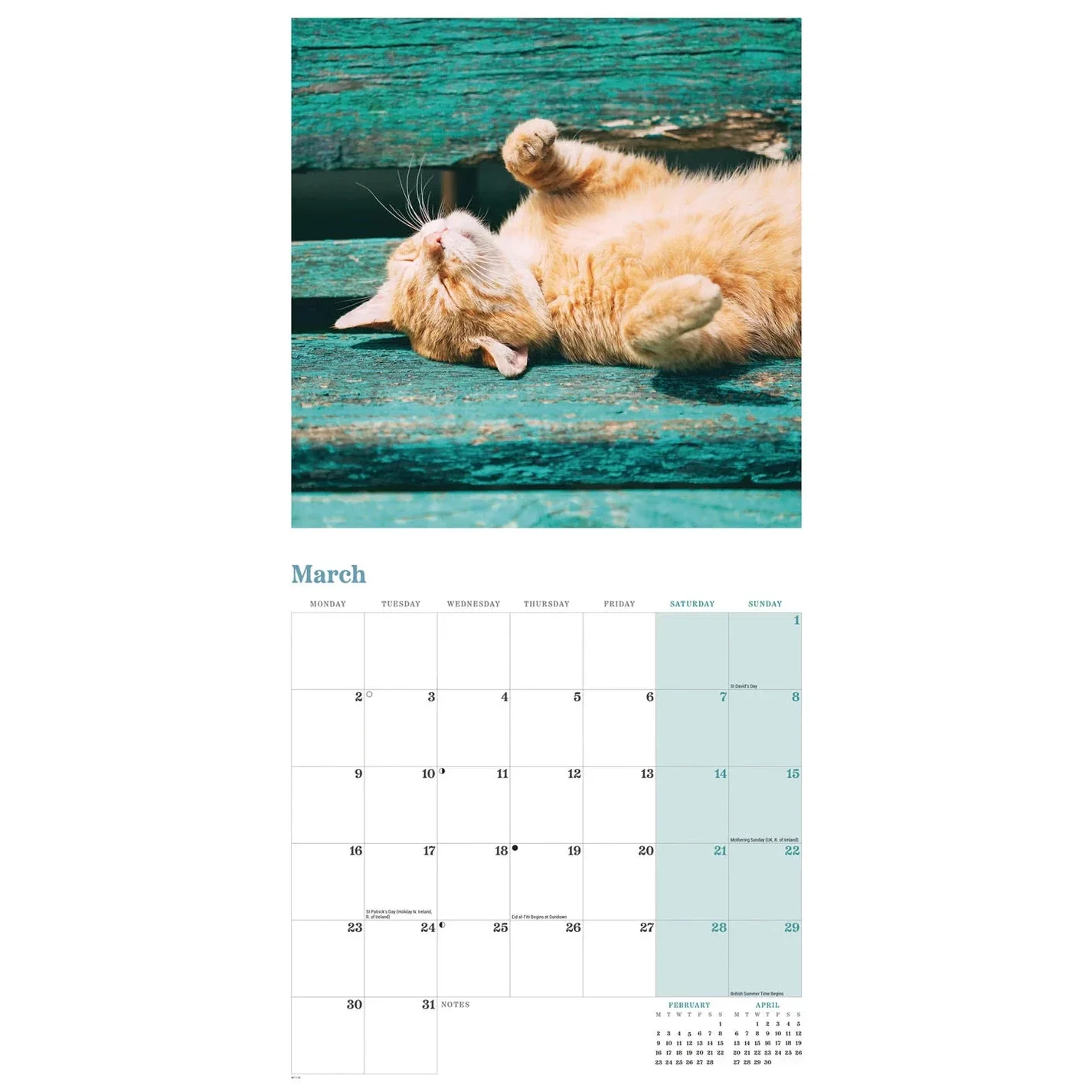 Ginger Cats Square Wall Calendar 2026 - Image 4