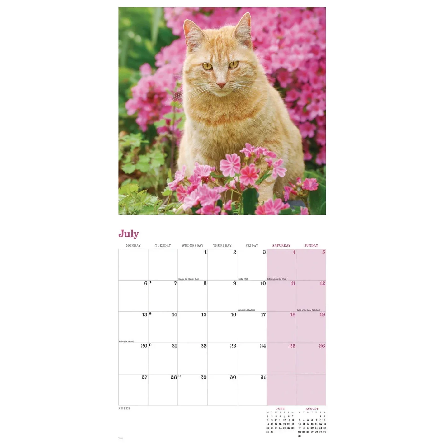 Ginger Cats Square Wall Calendar 2026 - Image 5
