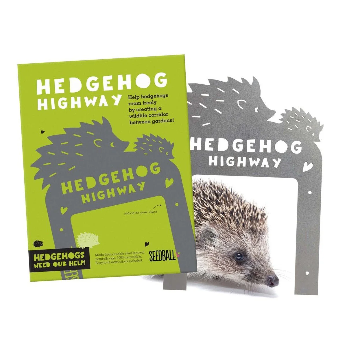 Hedgehog Highway - Image 2