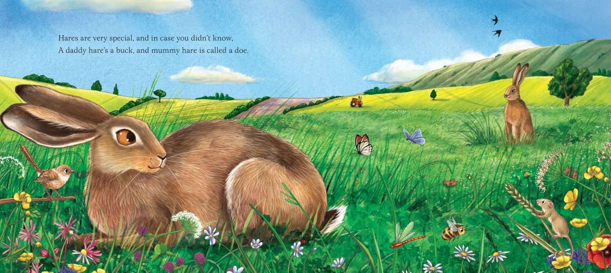 I am Hattie the Hare - Image 2