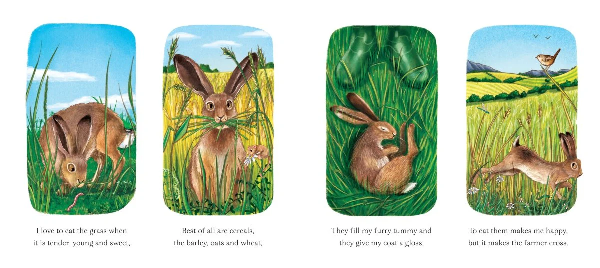 I am Hattie the Hare - Image 3