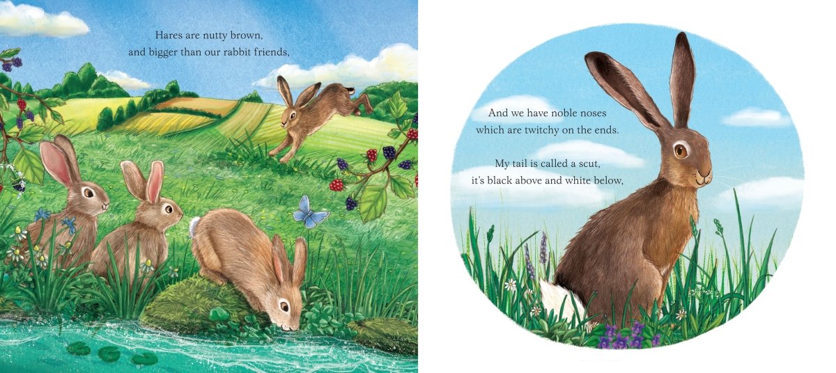 I am Hattie the Hare - Image 5