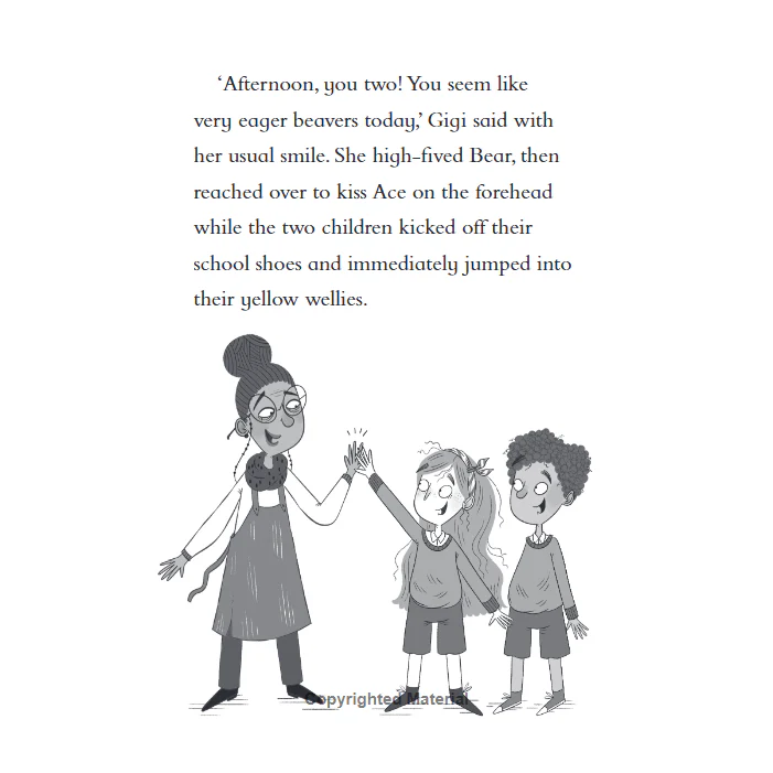 J B Gill: Ace & the Animal Heroes - The Wacky Weather Mystery - Image 3