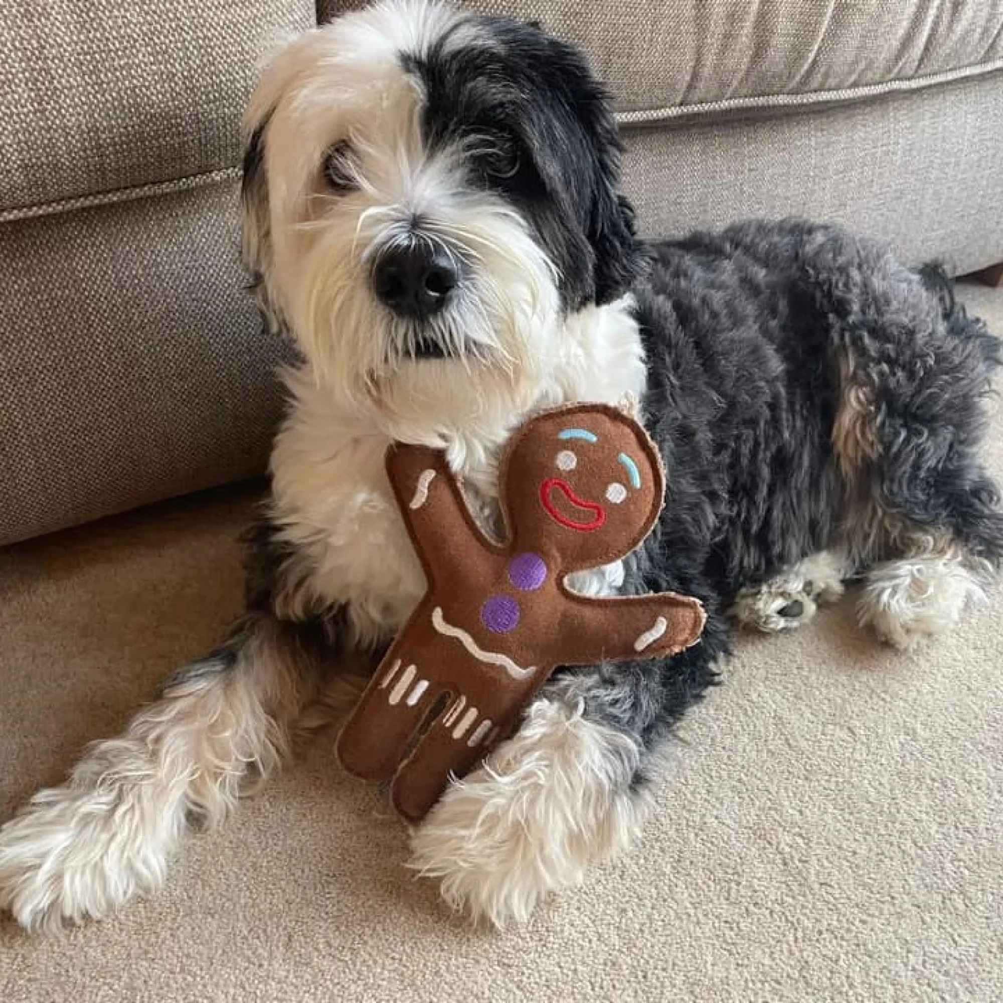 Jean Genie the Gingerbread Person Eco Dog Toy - Image 3