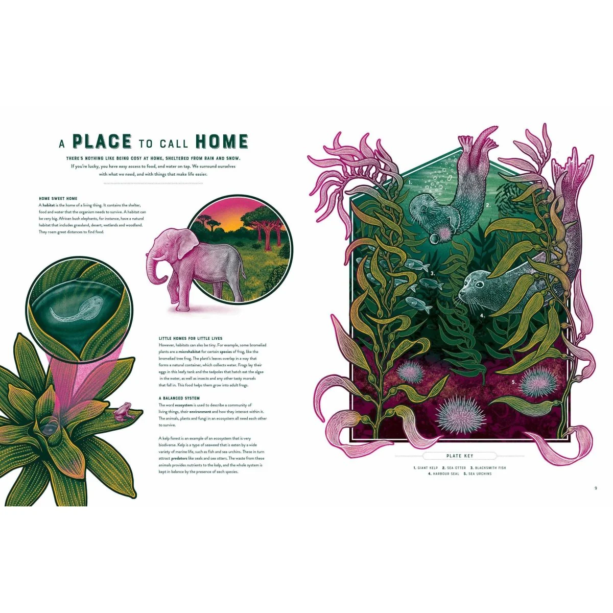 Life: The Wonders of Biodiversity - Image 3