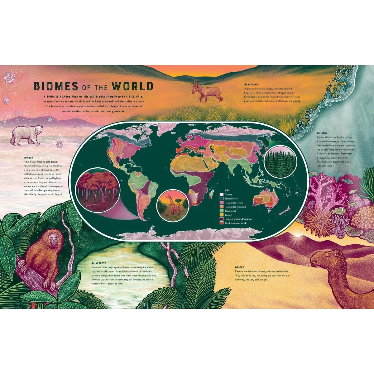 Life: The Wonders of Biodiversity - Image 4