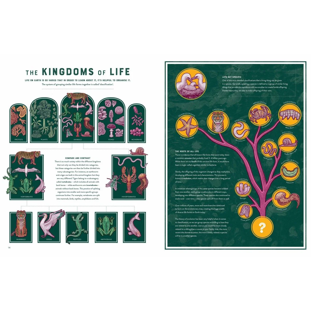 Life: The Wonders of Biodiversity - Image 6