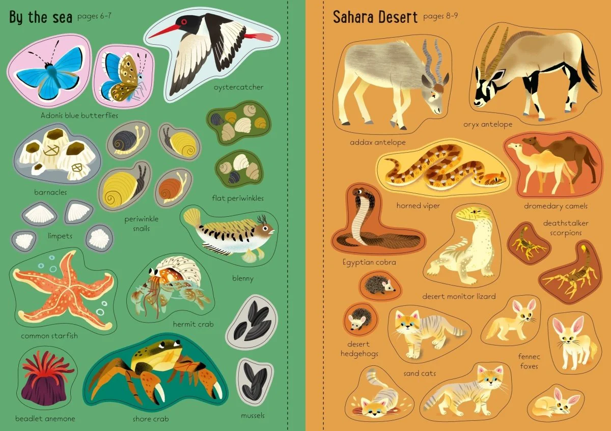 Little First Stickers: Nature - Image 3