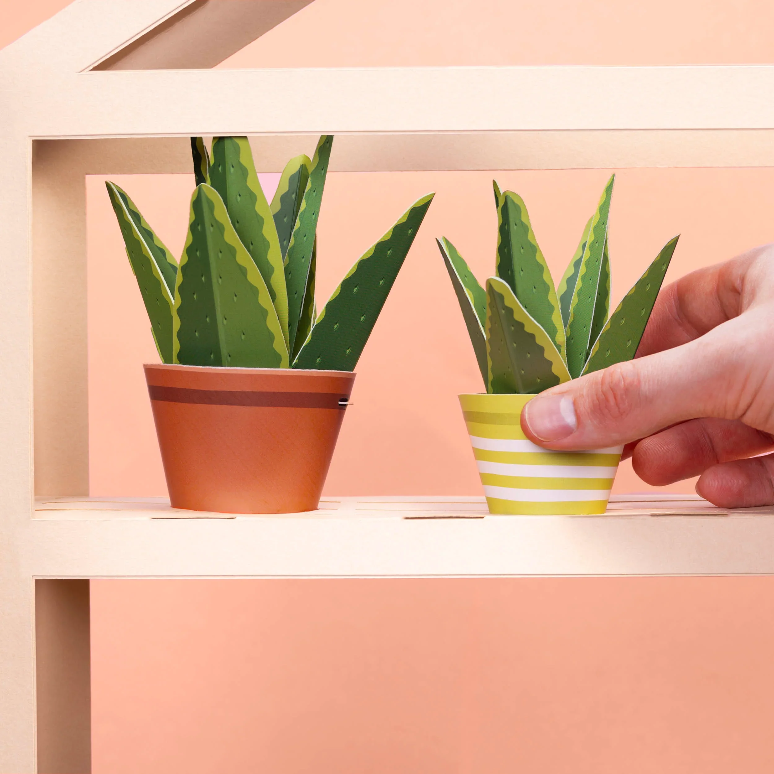 Mini Plant Making Kit - Make Your Own Healing Aloe Vera - Image 3