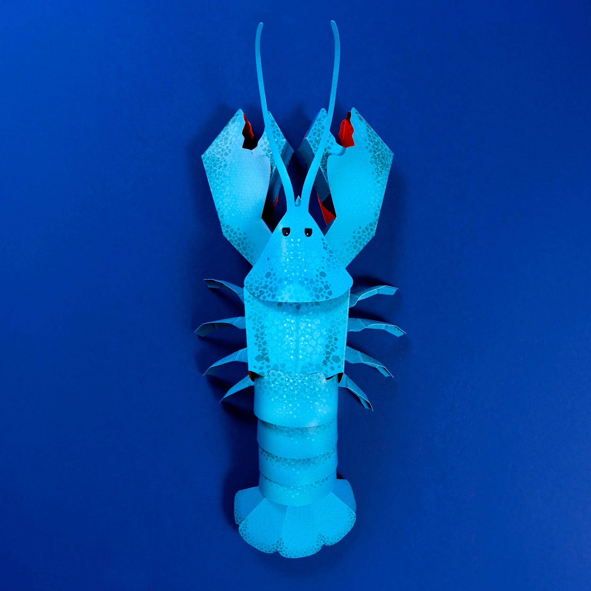 Make Your Own Loveable Lobster - Image 3