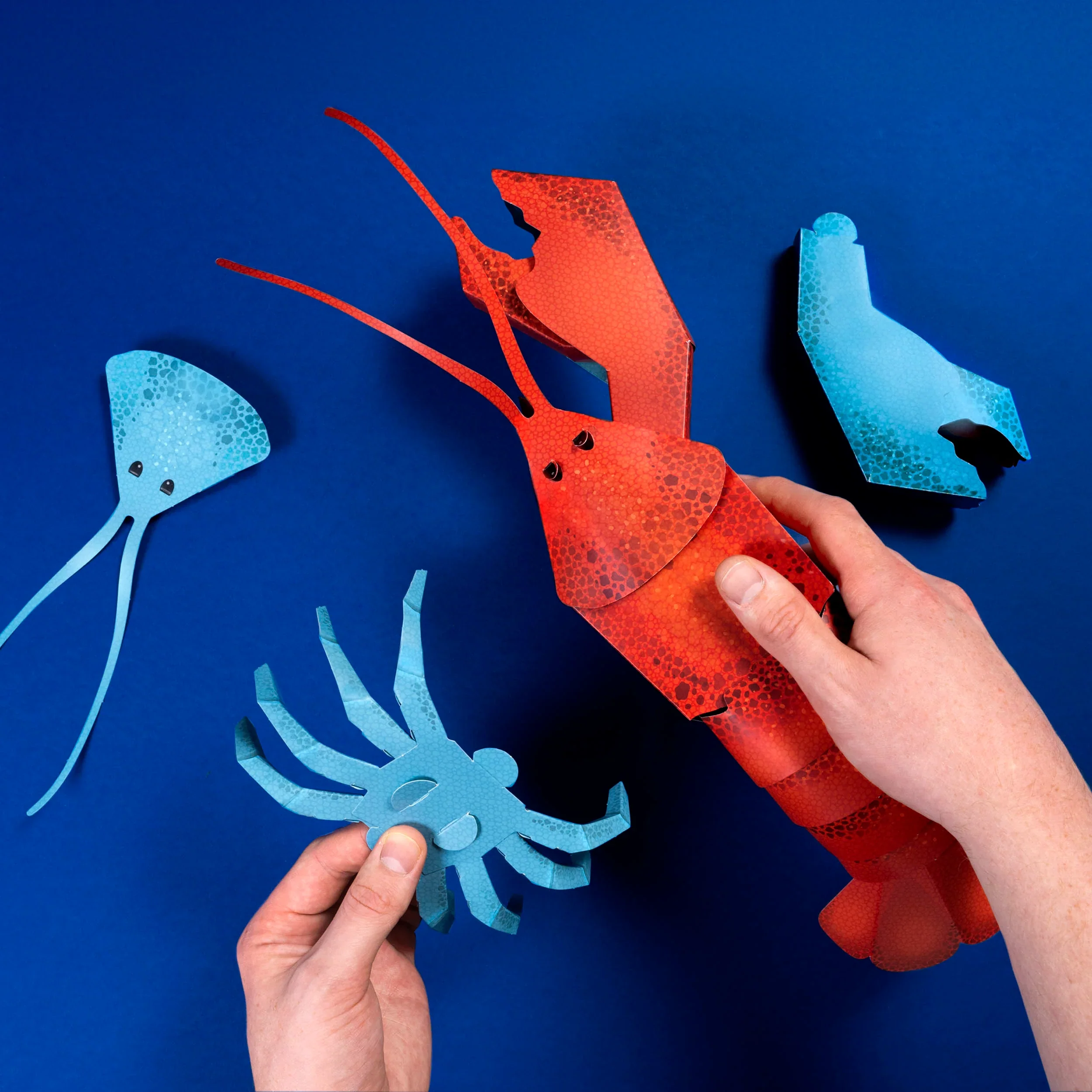 Make Your Own Loveable Lobster - Image 4