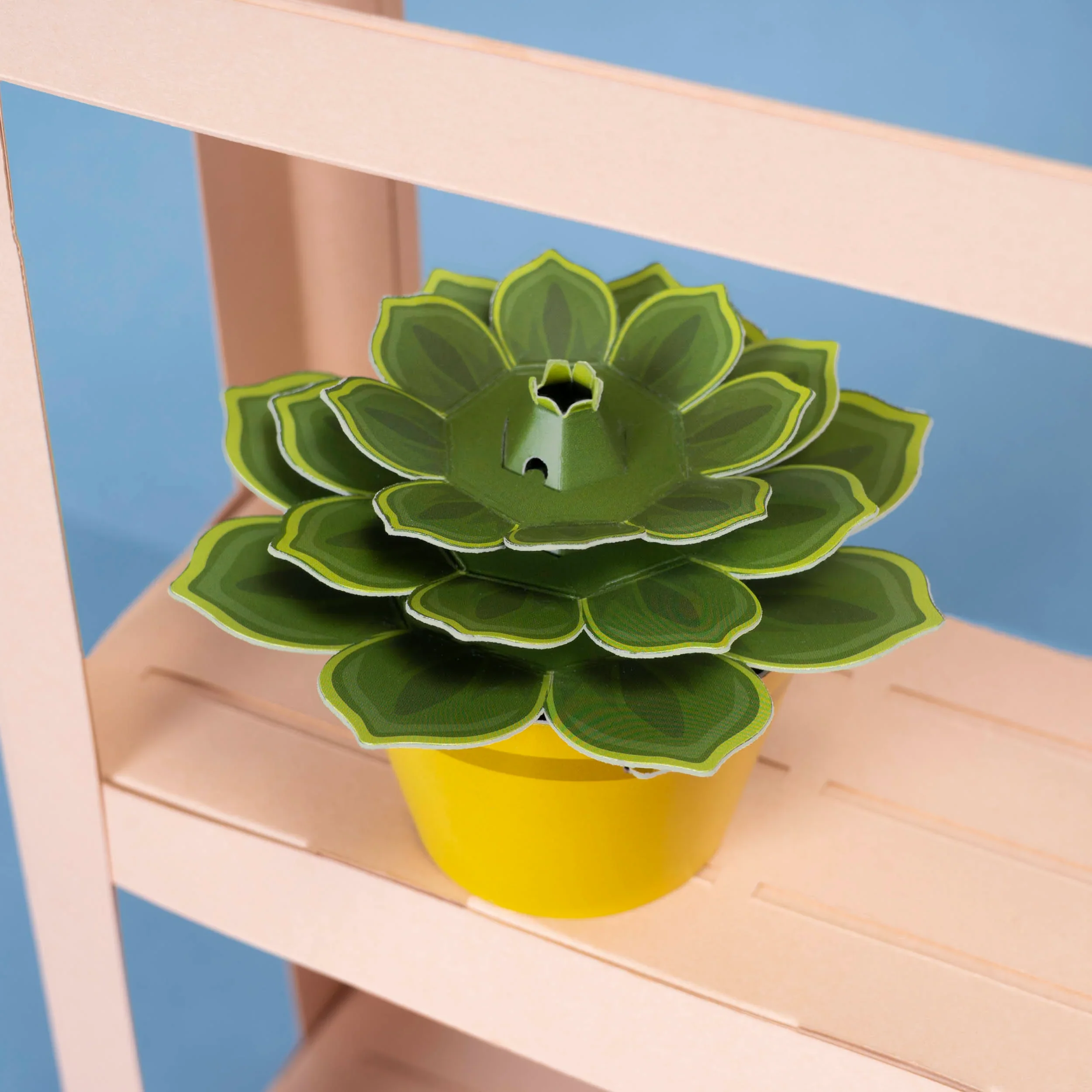 Mini Paper Plant Kit - Make Your Own Soothing Succulent - Image 2