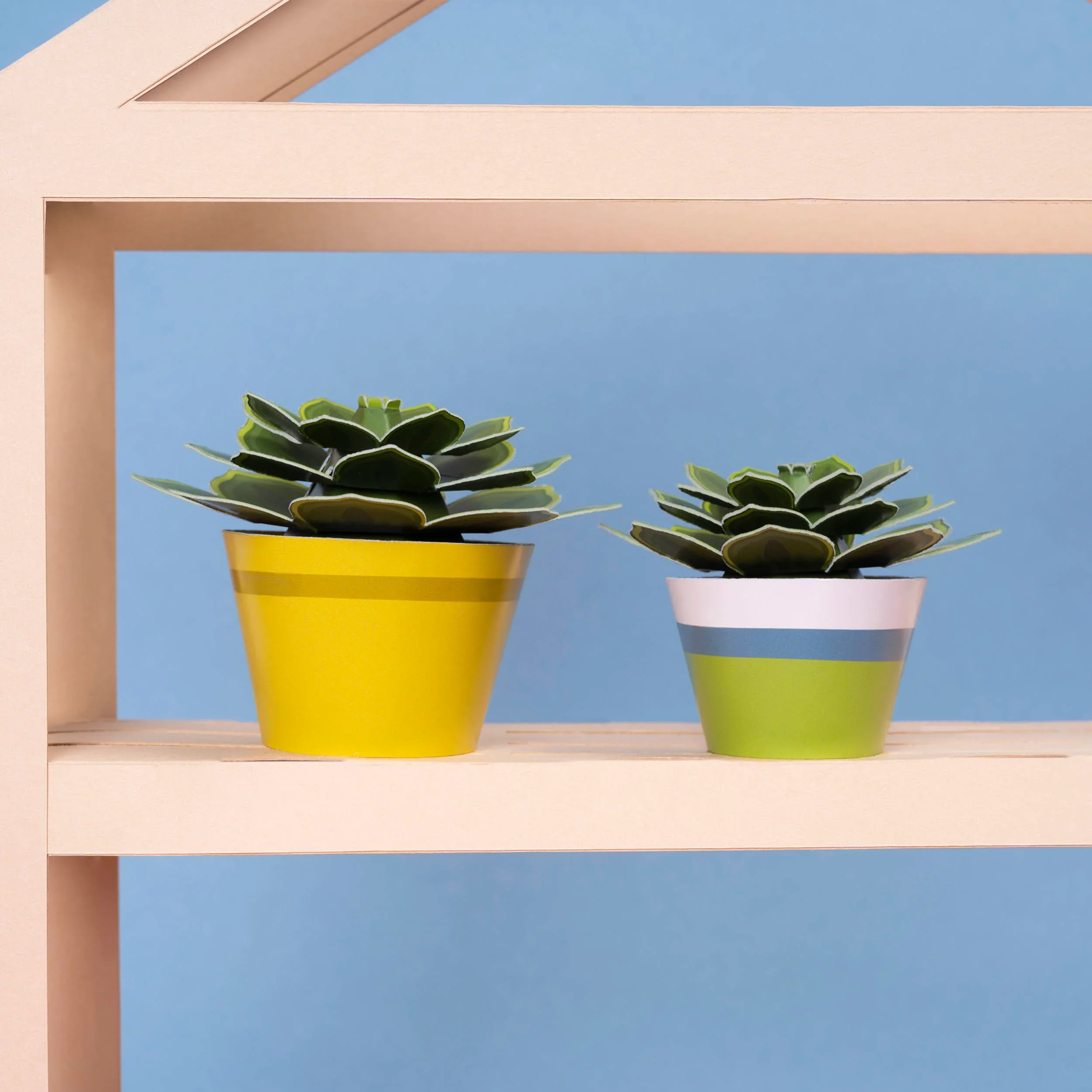 Mini Paper Plant Kit - Make Your Own Soothing Succulent - Image 3