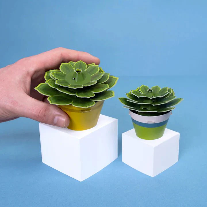 Mini Paper Plant Kit - Make Your Own Soothing Succulent - Image 4