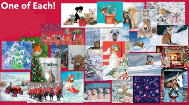 Mixed Bundle Bargain Selection of Christmas Cards (20 packs of 10 cards - 200 cards) - Image 4