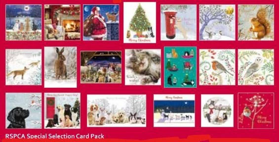 Mixed Bundle Bargain Selection of Christmas Cards (20 packs of 10 cards - 200 cards) - Image 5