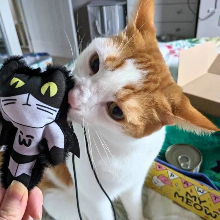 Mymeow Batmeow Finger Teaser Cat Toy - Image 2