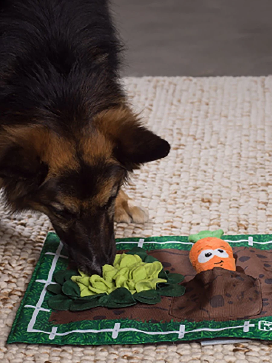Nina Ottosson Activity Matz Garden Game Plush Dog Puzzle Mat - Image 4