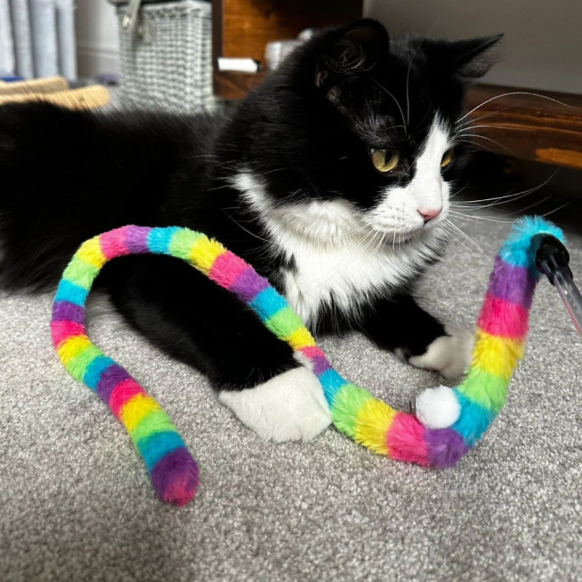 Rainbow Wiggle Worm Cat Dangler Toy - Image 2