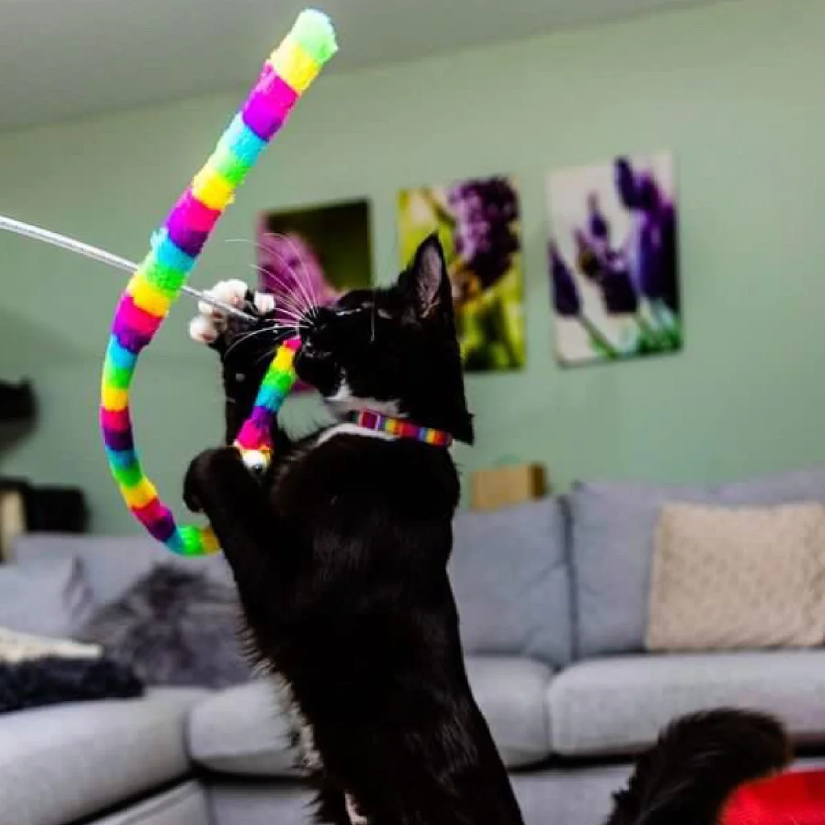 Rainbow Wiggle Worm Cat Dangler Toy - Image 3