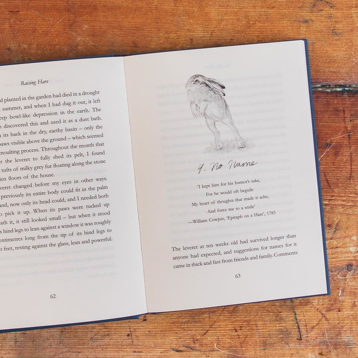 Chloe Dalton: Raising Hare - Image 2