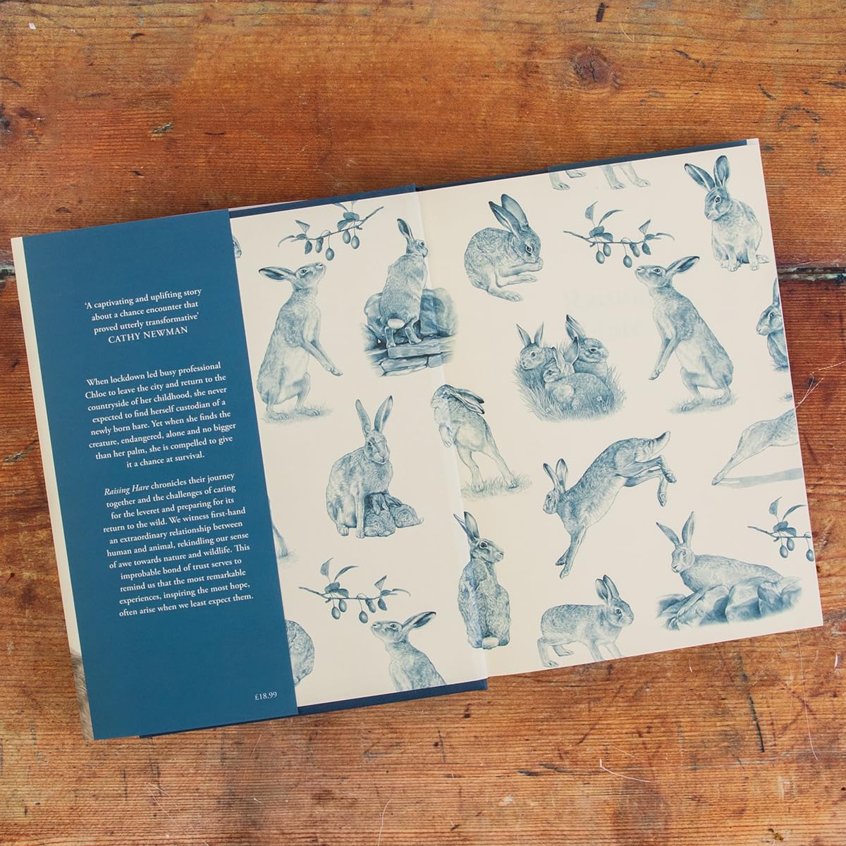 Chloe Dalton: Raising Hare - Image 3