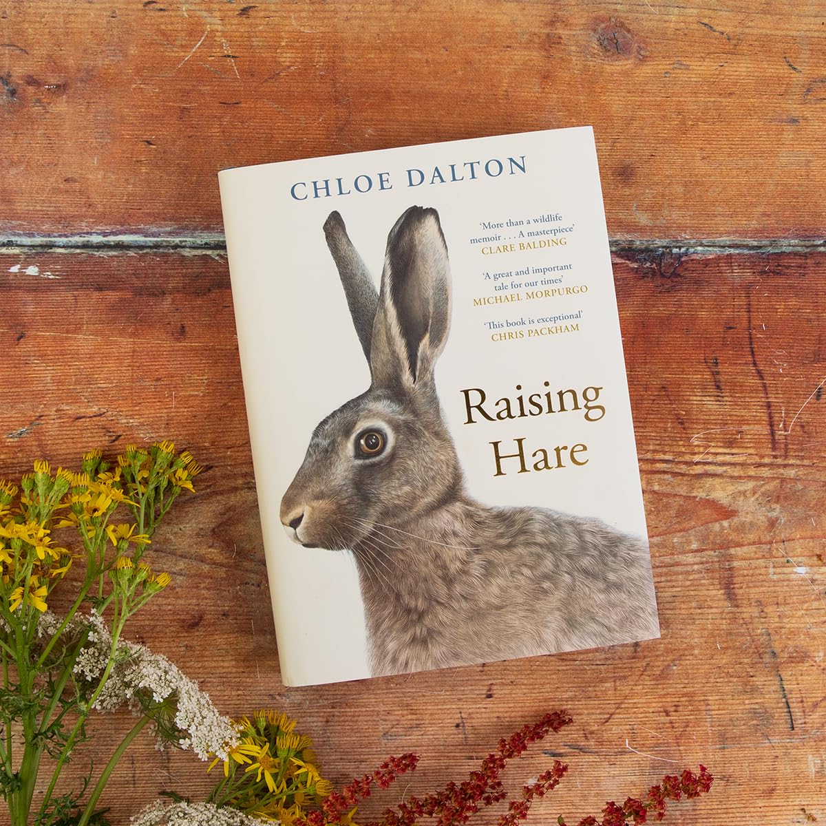 Chloe Dalton: Raising Hare - Image 7