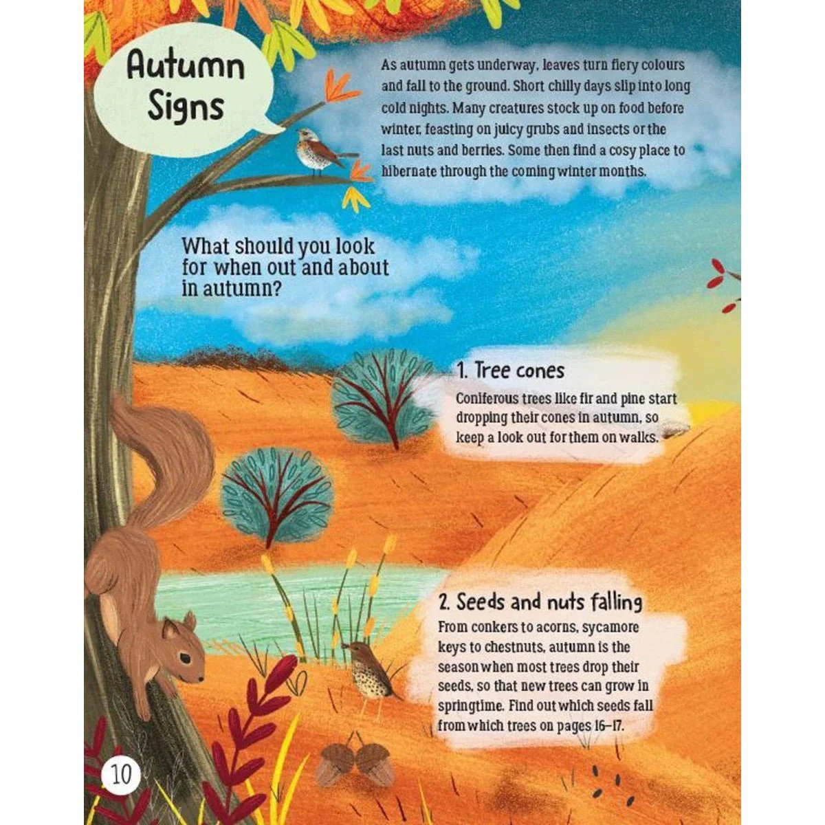 RHS Explore Nature: Things To Do Outdoors All Year Round Book - Image 5