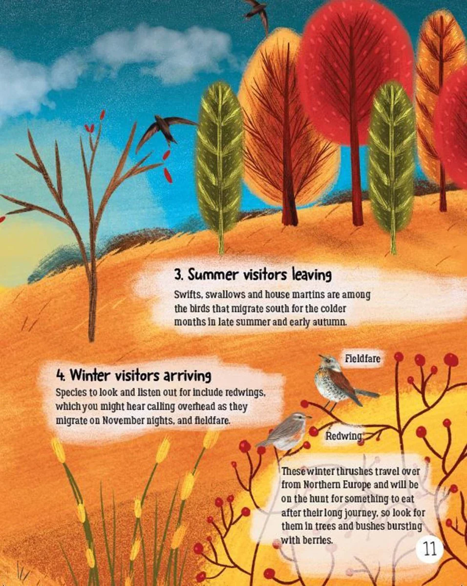 RHS Explore Nature: Things To Do Outdoors All Year Round Book - Image 6