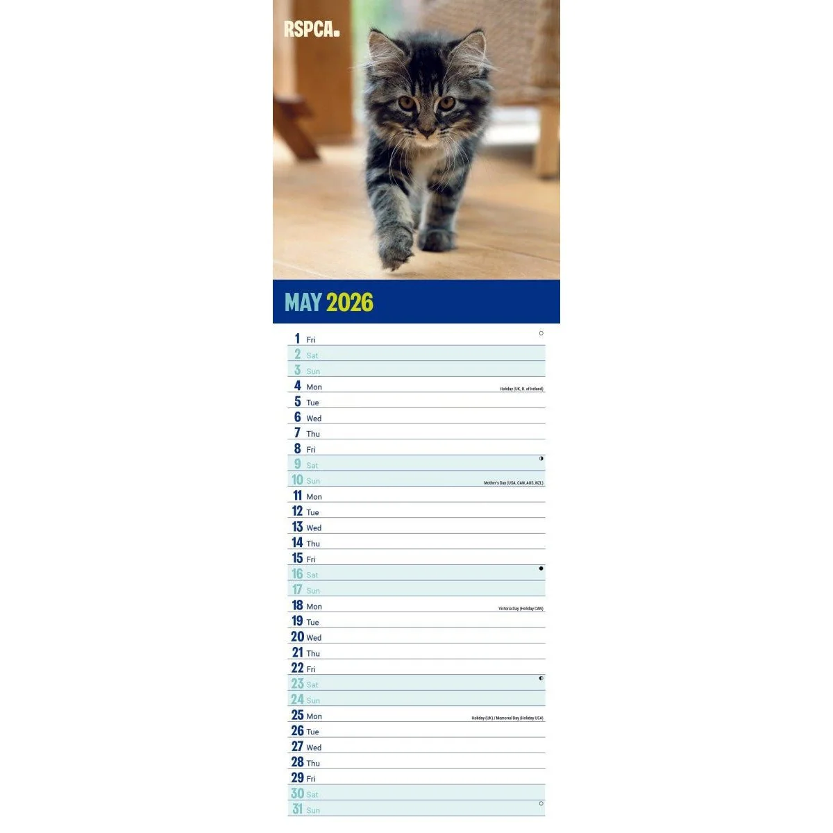 RSPCA I Love Kittens Slim 12 month Wall Calendar 2026 - Image 4