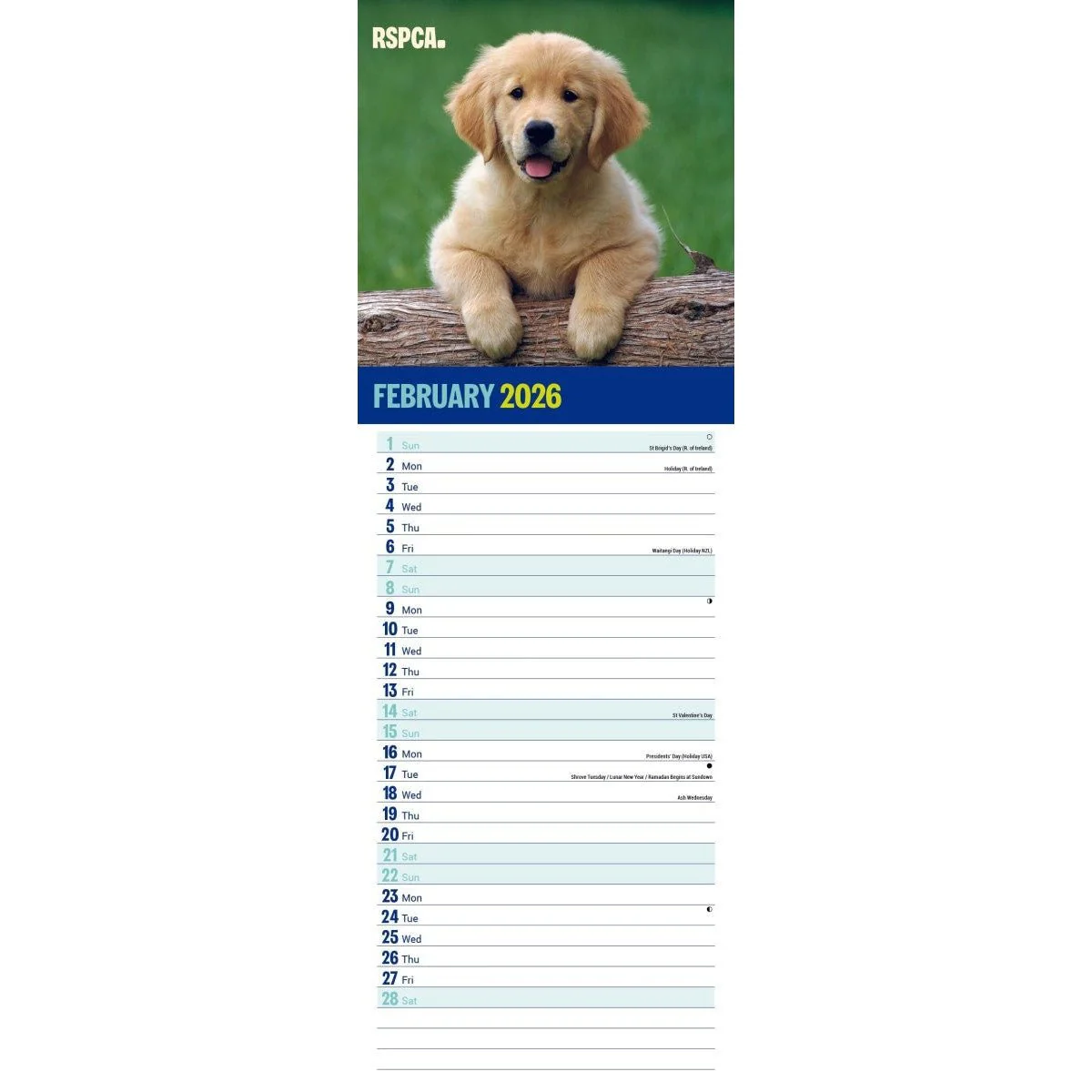 RSPCA I love Puppies Slim 12 Month Calendar 2026 - Image 3
