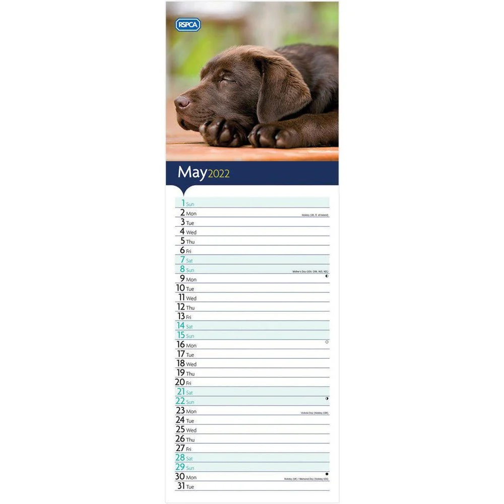 RSPCA I love Puppies Slim 12 Month Calendar 2026 - Image 4
