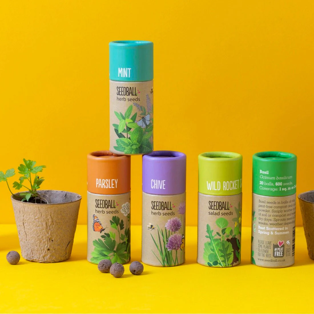 Set of 5 Garden Herbs Seedball Tubes